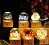 Lasting Real Rose Resin Ball Lamp 