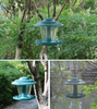 Bird Feeders for Outside Outdoors Hanging Plastic Wild Bird Feeder