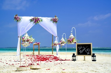 How Forever Flowers Can Elevate Your Event Design