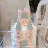 Romantic Pink Castle Eternal Flowers