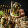 Cinnamon Lemon Glass Covered Forever Flowers
