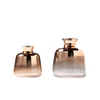 Creative Golden Gradient Glass Vase