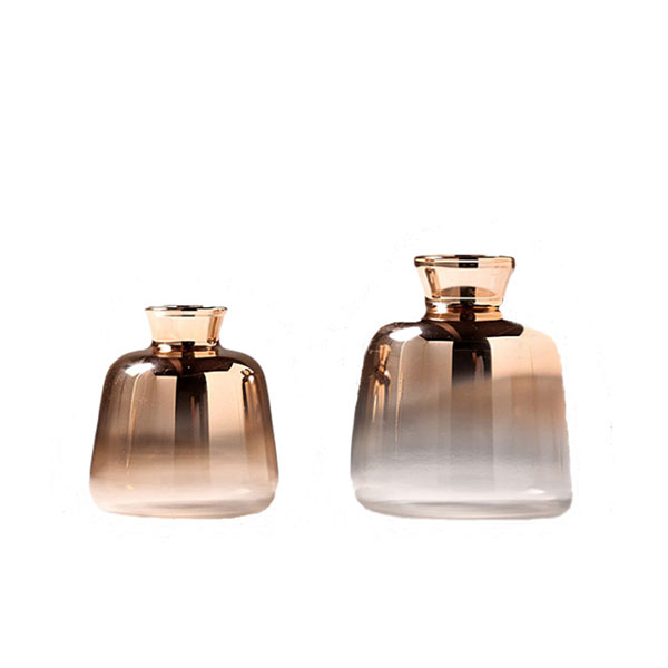 Creative Golden Gradient Glass Vase