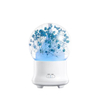 Preserved Flower Diffuser