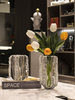 Simple Frosted Glass Vase Decoration