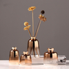 Creative Golden Gradient Glass Vase