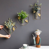 Flower Hydroponic Vase Wall Decor