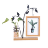 Creative Iron Photo Frames And Hydroponic Decoration