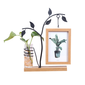 Creative Iron Photo Frames And Hydroponic Decoration