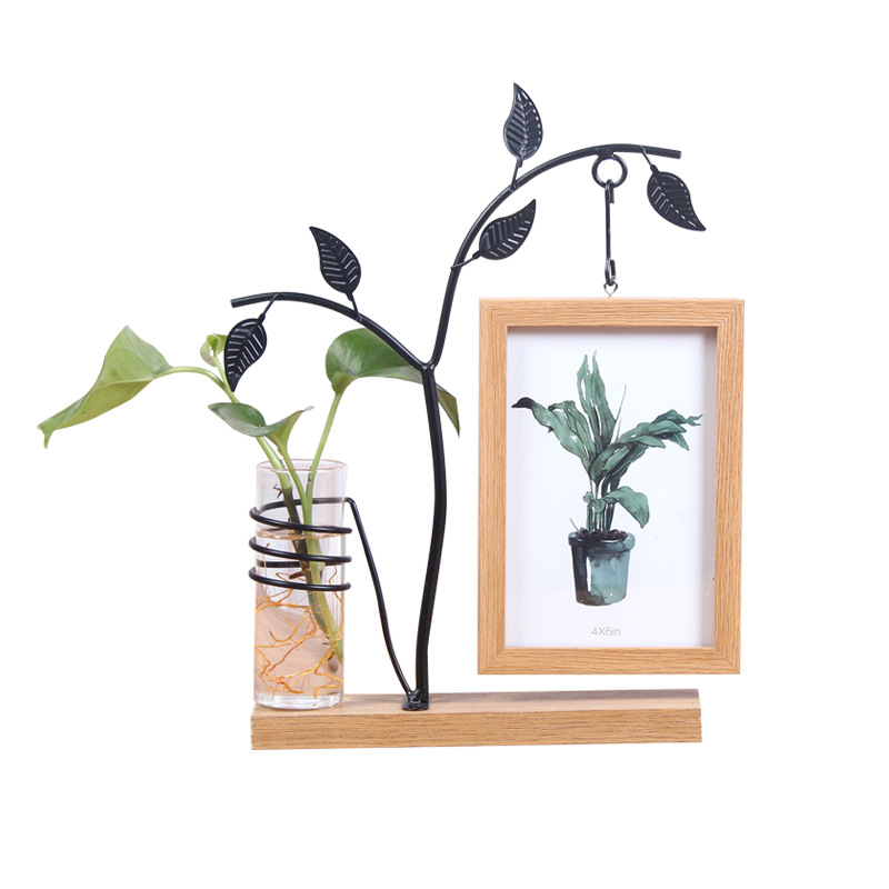 Creative Iron Photo Frames And Hydroponic Decoration