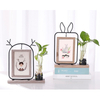 Creative Iron Photo Frames And Hydroponic Decoration