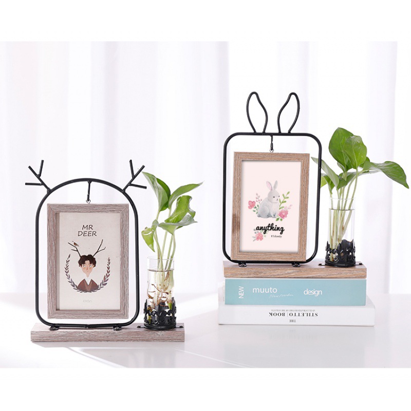 Creative Iron Photo Frames And Hydroponic Decoration