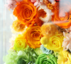 Rainbow Candy Forever Flowers