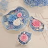 Home Decor Preserved Rose with Ceramics Conch Gift for Women