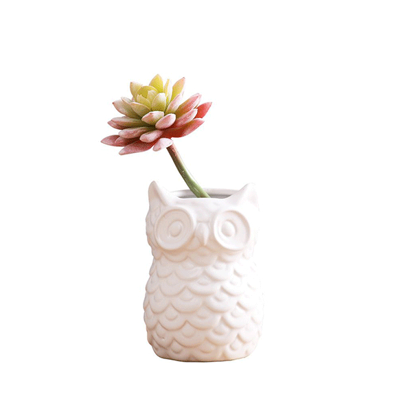 Owl Shaped Vases Ceramic Owl Succulent Planter Pots Home Decor
