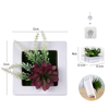 Hanging Wall Artificial Succulent Plants for Home Decor