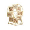 Ferris Wheel Photo Frame