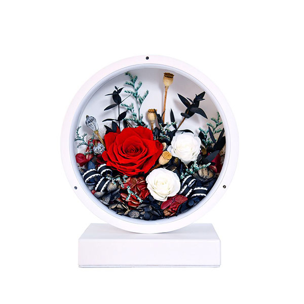 Table Light Preserved Flowers Gift USB Desktop Decor Ornament