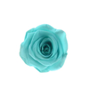Cyan