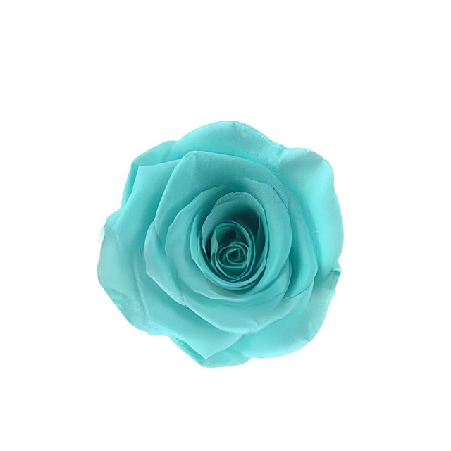 Cyan