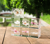 Plant Specimen Glass Decoration