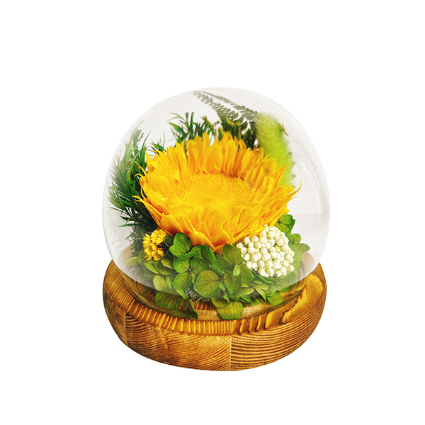 Sunflower Forever Flowers