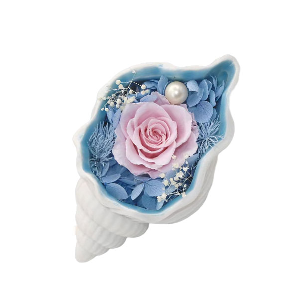 Home Decor Preserved Rose with Ceramics Conch Gift for Women