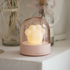 Cat-paw Lamp Music Box