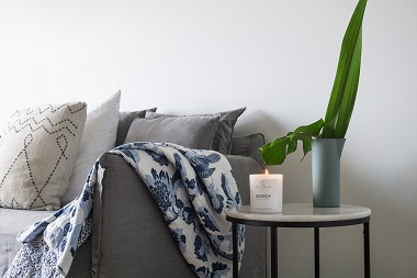 How do l beautify my house with plants