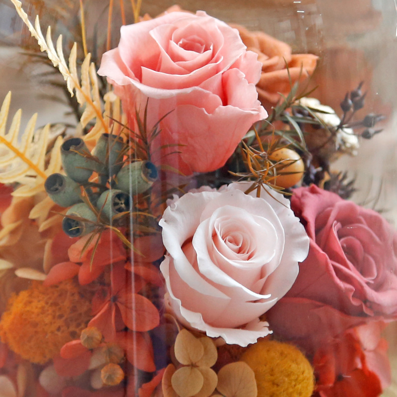 Eternal Preserved Rose in Glass Dome Forever Roses Gifts for Her