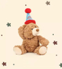 Birthday Hat Teddy Bear Throw Pillow