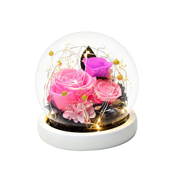 Eternal Rose Gifts Home Decorative Accessories
