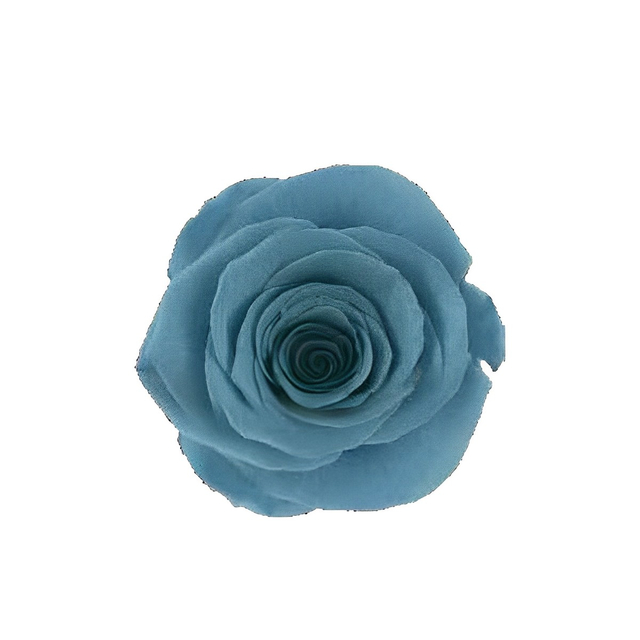 Tiﬀany Blue