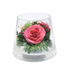 Forever Flower in a Sealed Glass Vase