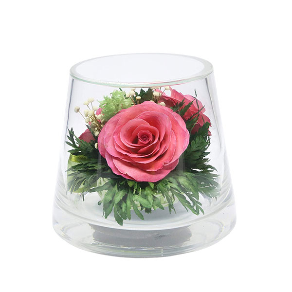 Forever Flower in a Sealed Glass Vase