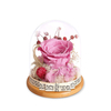 Preserved Flowers Rose Gift for Women