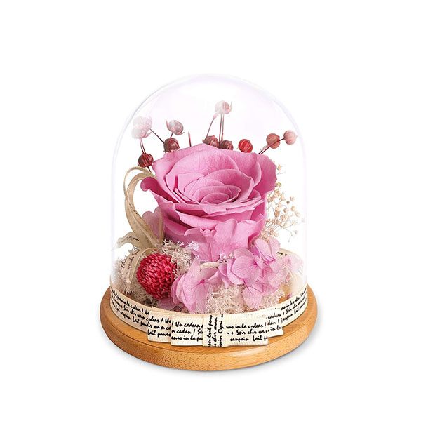 Preserved Flowers Rose Gift for Women