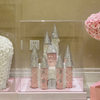 Romantic Pink Castle Eternal Flowers