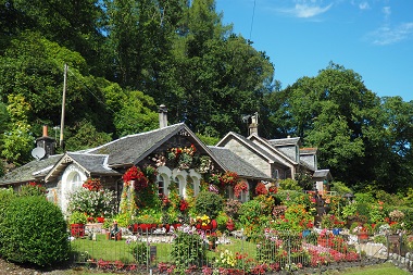 How do i make my garden like a professional