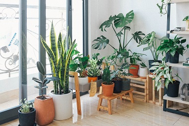 What should I name my home decor business