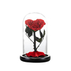 Preserved Rose in Glass Dome 