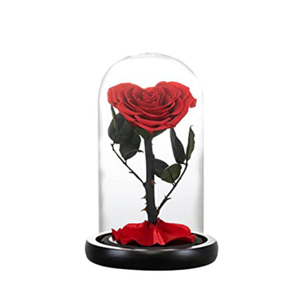 Preserved Rose in Glass Dome 
