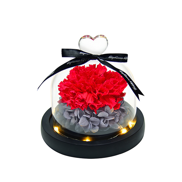 Forever Preserved Flower Rose Decoration Gift for Her