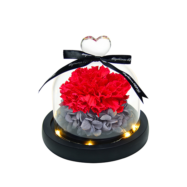 Forever Preserved Flower Rose Decoration Gift for Her
