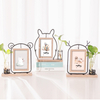 Creative Iron Photo Frames And Hydroponic Decoration