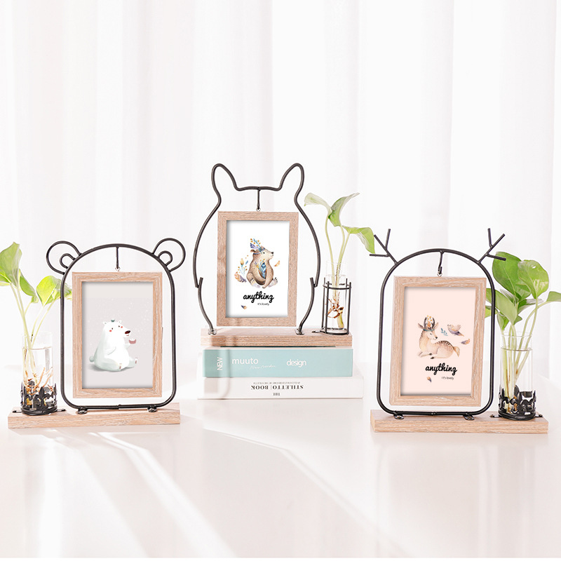 Creative Iron Photo Frames And Hydroponic Decoration