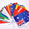 International Countries Flag Bunting Banners for Decorations